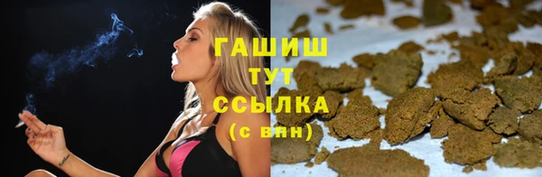 сатива Белокуриха