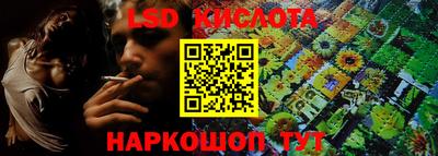 СК Волгодонск