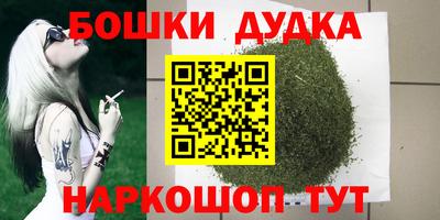 СК Волгодонск