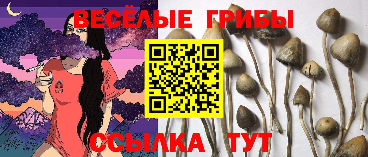 Псилоцибиновые грибы Magic Shrooms  Галлюциногенные грибы Magic Shrooms  Горно-Алтайск 