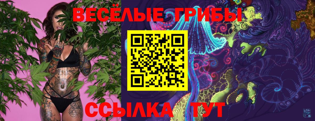 Галлюциногенные грибы прущие грибы Горно-Алтайск