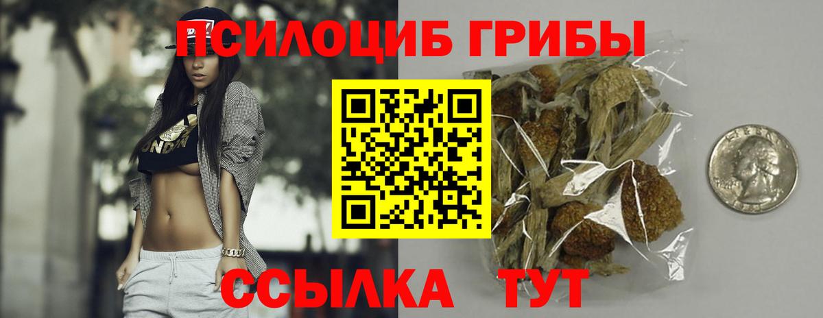 Псилоцибиновые грибы ЛСД  Вход с VPN  Горно-Алтайск 